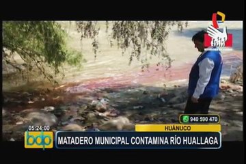 Huánuco: matadero municipal contamina río Huallaga