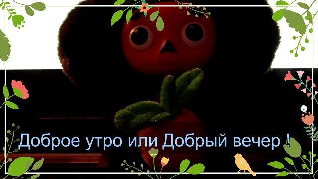 Хорошего дня! практика