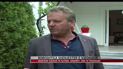 Boboshtica shënjestër e vjedhjeve - News, Lajme - Vizion Plus