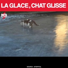 Mais pourquoi j'ai froid aux Pattes ? Et pourquoi ça glisse ?  via storyful