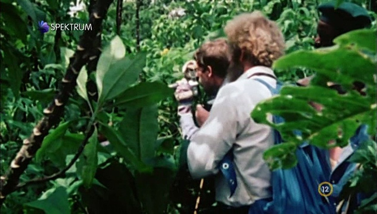 Attenborough - 60 Év A Vadonban S01e03