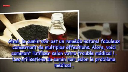 La graine qui soigne presque toutes les maladies sauf de la mort