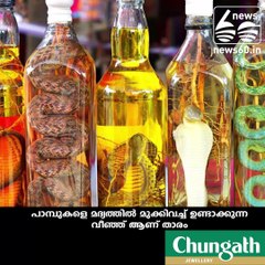 Snake wine... A rare special wine