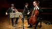 Anton Dvorak | Trio pour piano et cordes n° 4 en mi mineur op. 90 "Dumky Trio" (extraits) par le Trio Busch