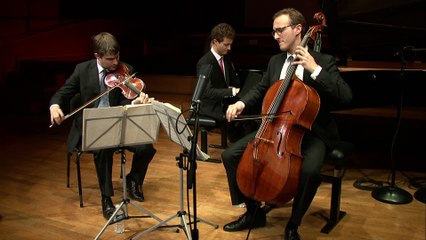 Anton Dvorak | Trio pour piano et cordes n° 4 en mi mineur op. 90 "Dumky Trio" (extraits) par le Trio Busch