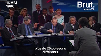 À Paris, l’eau de la Seine pourrait-elle être rouverte à la baignade ?