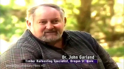 Timber and logging technology