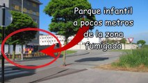 Asturias: Ecologistas denuncian que Ayuntamiento de Siero fumiga con herbicidas sin advertir del riesgo