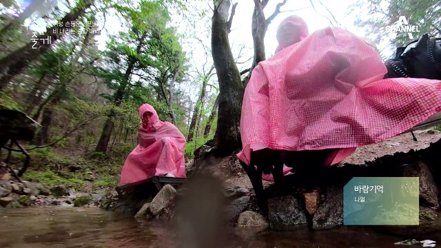 바람기억 - 김민석의 전나무숲 무반주 라이브! (원곡 : 나얼)