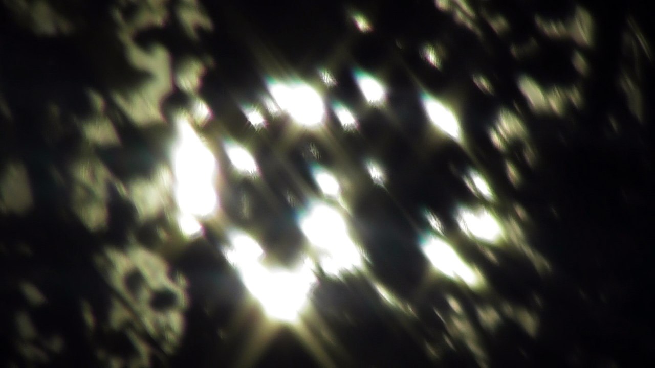 May 16 2018 DL6