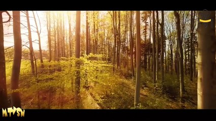 The Sad Truth About Today's Reality. #humanity 2018