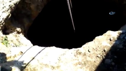 Sarnıca düşen ineğin imdadına itfaiye yetişti