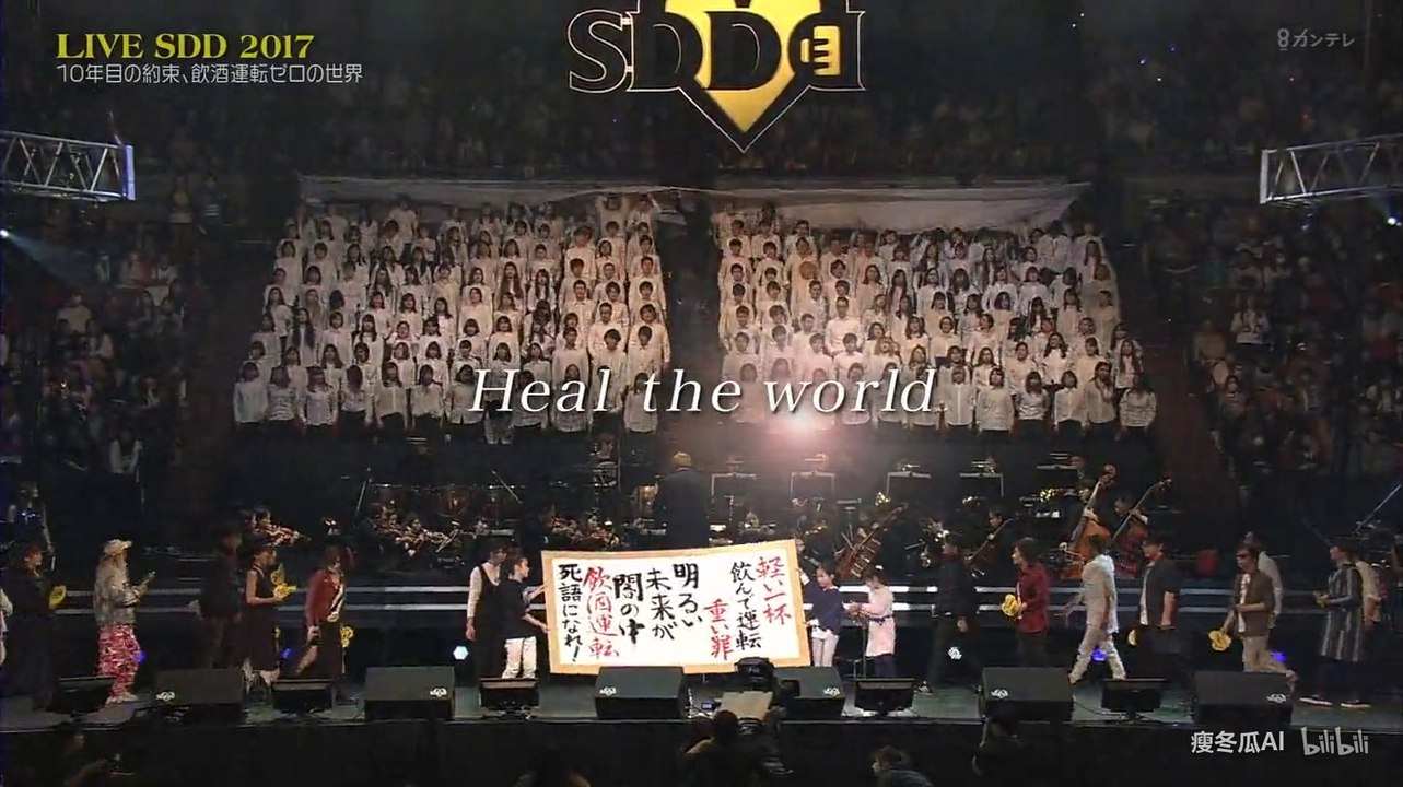 Heal The World SDD 2017