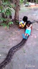 Kids Playing With Big Python Snake...!!!!!Unbelievable...!!!!