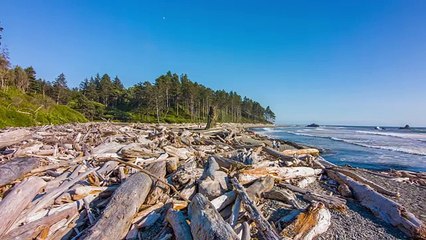Ruby Beach. Summertime, Olympic Peninsula, 4K Relax Nature Scenery - Trailer - 34
