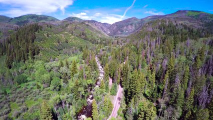 Log & Timber     Structure_720p