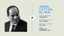 Egypt's Abdel Fattah el-Sisi's Rise To Power