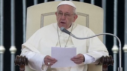 교황, 가자지구 유혈진압 개탄..."폭력은 폭력을 낳는다" / YTN