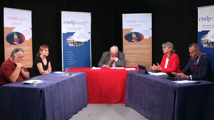 2/6 - Marie Noelle Battistel, députée de l’Isère - Atelier PPE "Hydroélectricité"