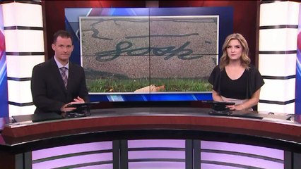 Mysterious Names Written in Crack Sealing Baffle Residents