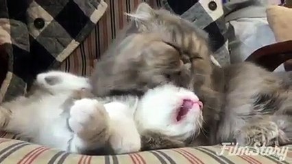 Teo tinh hoàn có chữa được không