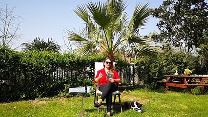 AKREP Burcu 16-22 Nisan 2018 HAFTALIK Burç Yorumu, Demet Baltacı