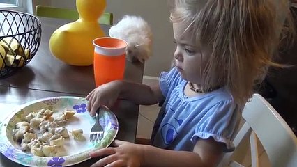 TRYING EXOTIC FRUIT! | HOW TO EAT THEM | FAMILY VLOG | SMELLYBELLYTV