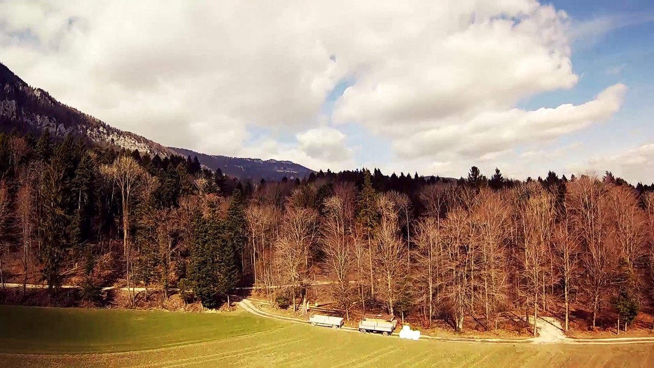 Skitzo Frame with old raceflight build