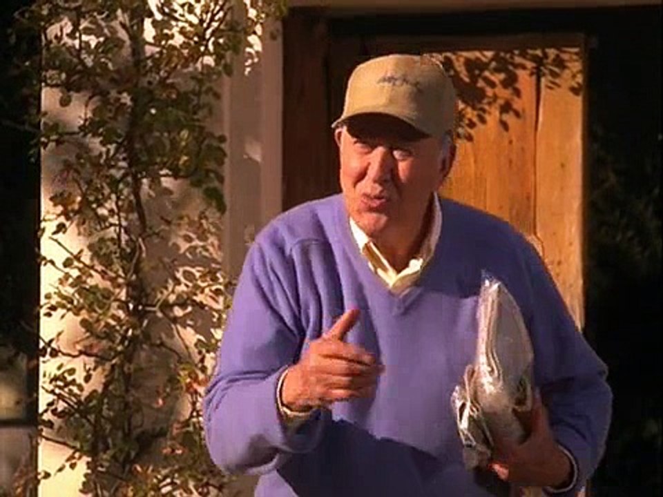 The Bernie Mac Show S01E15