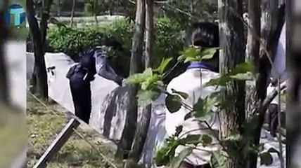 Mrekullia ndodhë! Bie në kafazin e luanit. Ja cka ndodhë