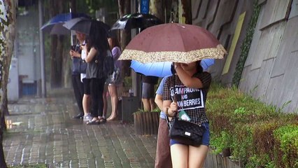 [날씨] 서울 첫 호우주의보...중부 벼락 동반 폭우 / YTN