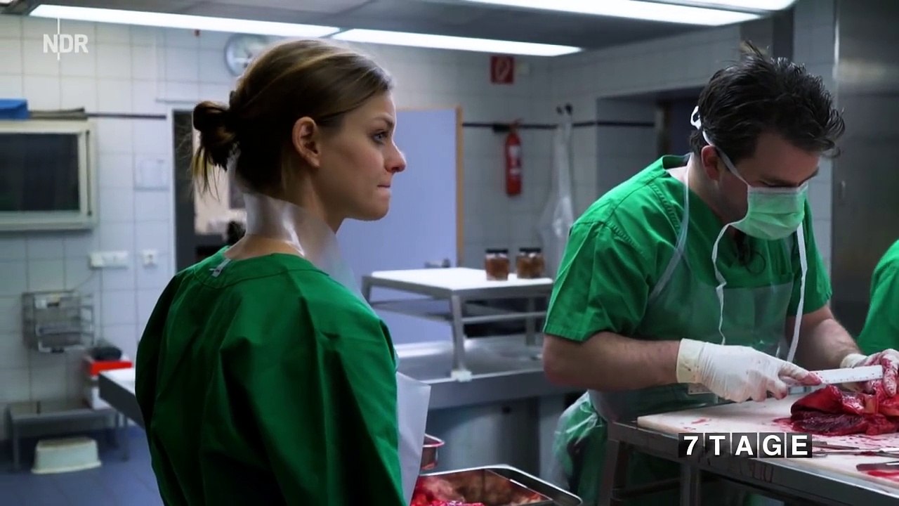 Leichen, Blut, Verwesungsgeruch: 7 Tage... in der Gerichtsmedizin (tägl. ab 22 Uhr) | 7 Tage | NDR