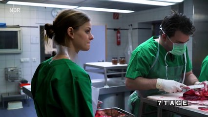 Leichen, Blut, Verwesungsgeruch: 7 Tage... in der Gerichtsmedizin (tägl. ab 22 Uhr) | 7 Tage | NDR