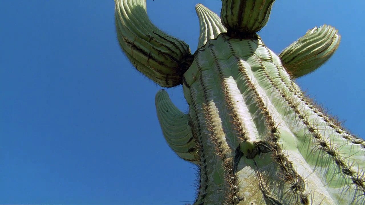 Planet Earth E05 Deserts