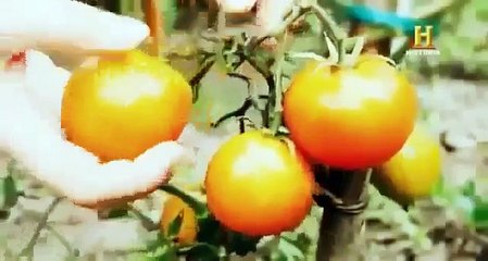 Documental Lo Que el Ojo Humano NO Ve | Documentales de History Channel en Español part 3/3