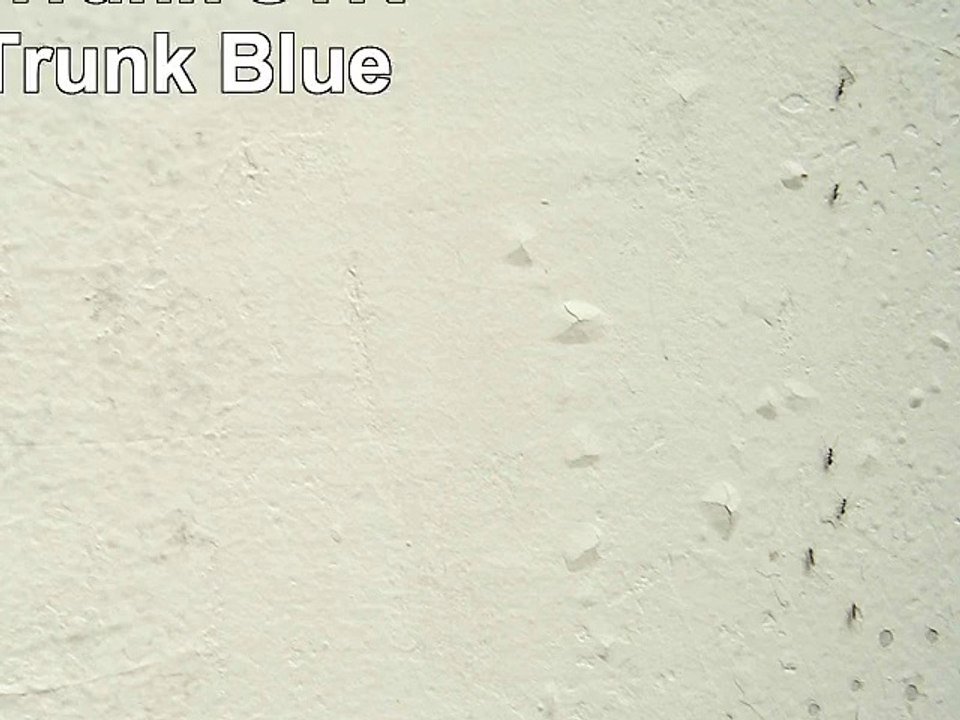 Iron Brick Trunk  STRONGEST Trunk  Blue