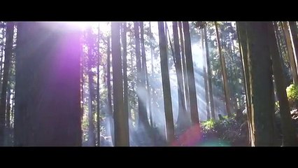 永瀬正敏×ジュリエット・ビノシュ、河瀨直美監督最新作／映画『Vision』特報