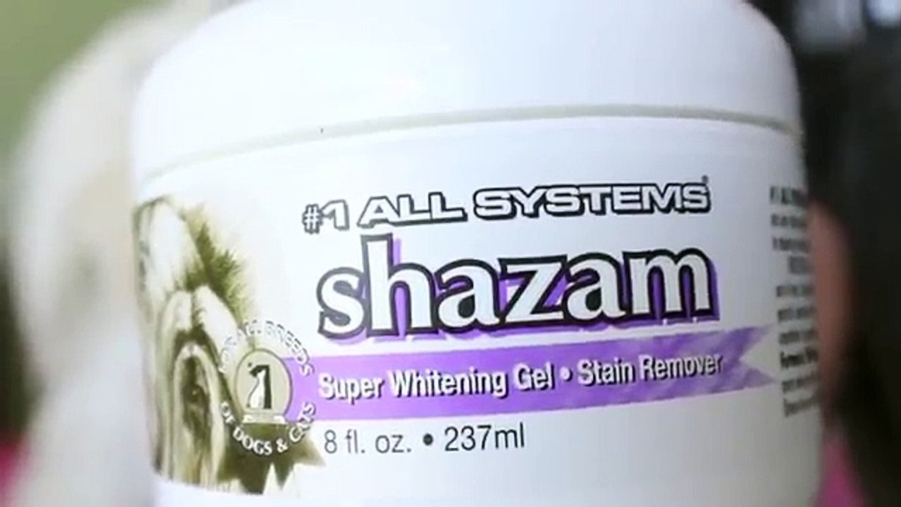 How to whiten maltese tear stains | Review for #1 All Systems Whitening Gel