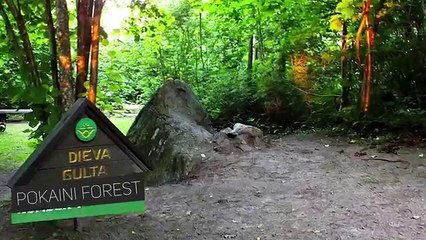 6 FOREST MYSTERIES No One Can Explain | Collab With Michael Scot