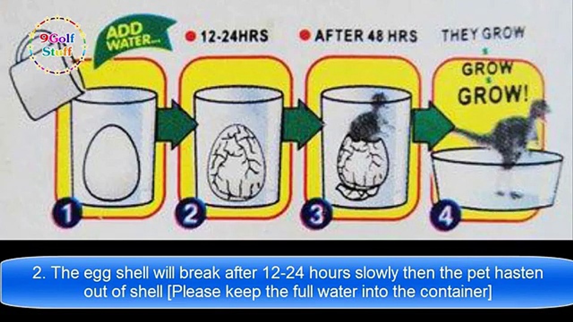 dinosaur egg growing pet