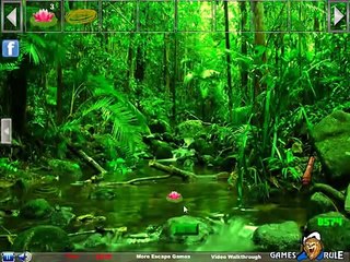 Nature Green Forest Escape Video Walkthrough