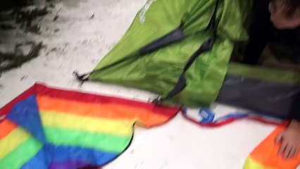 ON L'A FAIT ! • 30 SAPINS DANS NOTRE SALON !! - Studio Bubble Tea