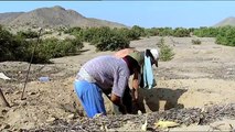 The Lord of Sipan. The Forerunners of the Inca | History - Planet Doc Full Documentaries