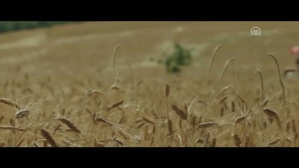 Sinema - Kiraz Mevsimi