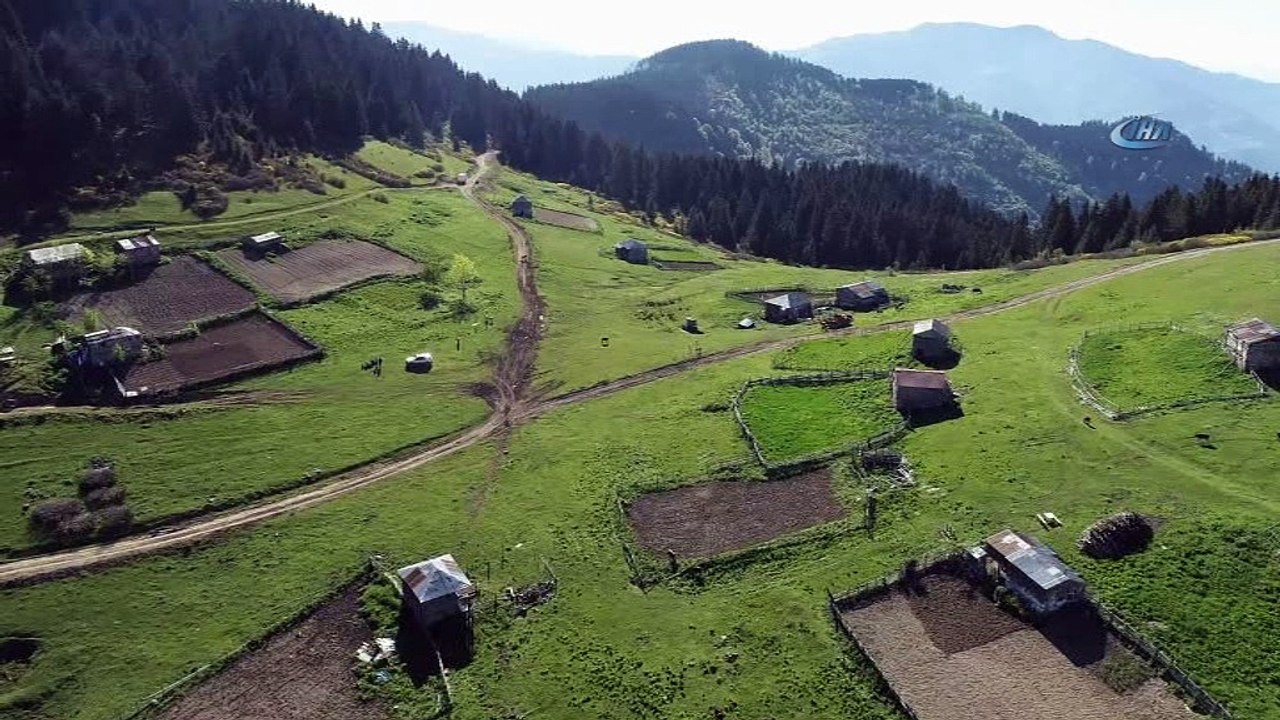 Karadeniz yaylaları şenleniyor...Karaarslan Obası havadan görüntülendi