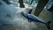 What Remains of Edith Finch: Out of Control Land Shark