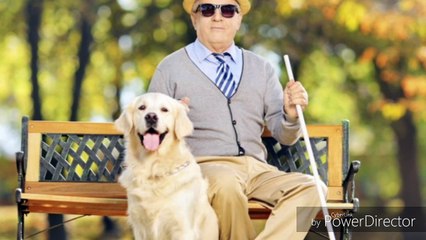 Glasses for the Blinds...eSight 3