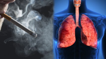 15 Ways You Can Purify Your Lungs Naturally