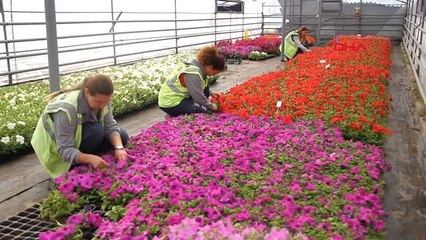Eskişehir Çiçeklerle Süslendi