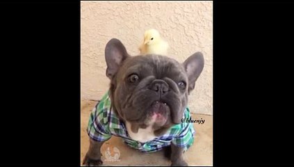 해외카지노사이트 ( 【只 CARD328。CoM 只】 ) 가상화폐투자방법